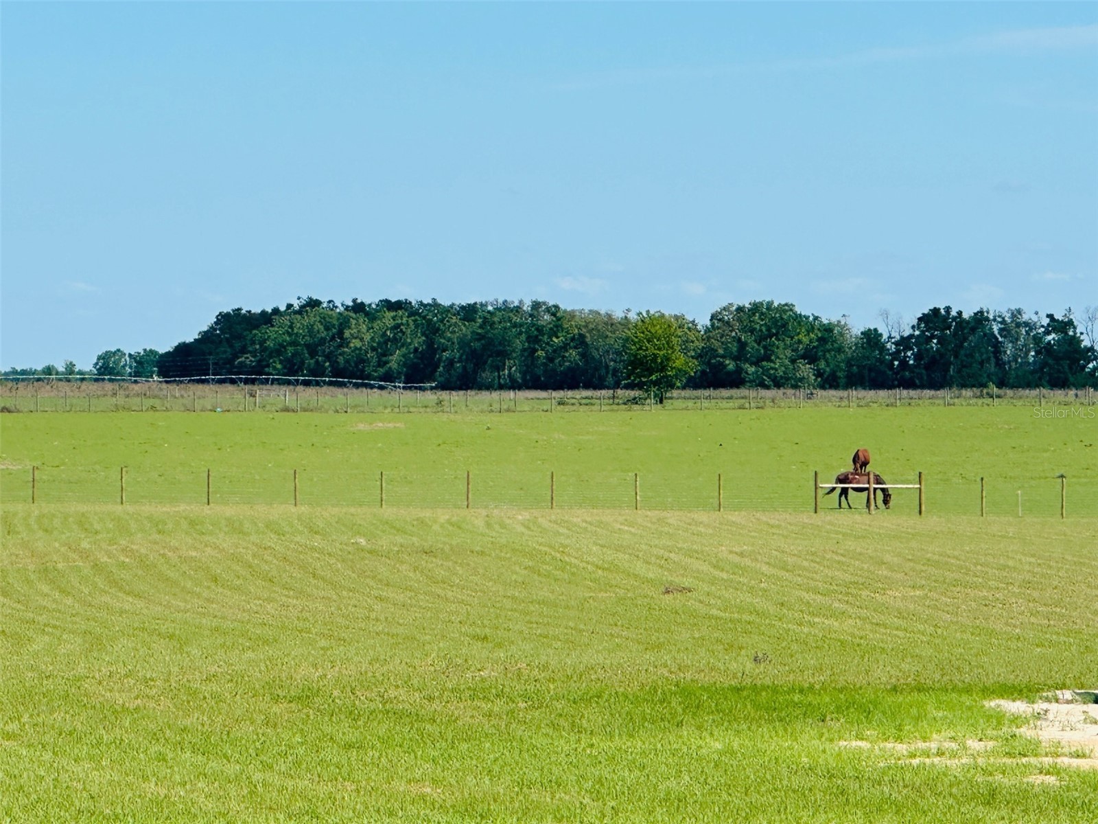 15882 Sr 51 Live Oak FL 32060 W7875368 image2