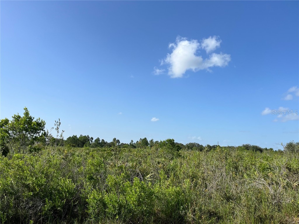 15883 NW 276th Street Okeechobee FL 34972 OK223105 image1