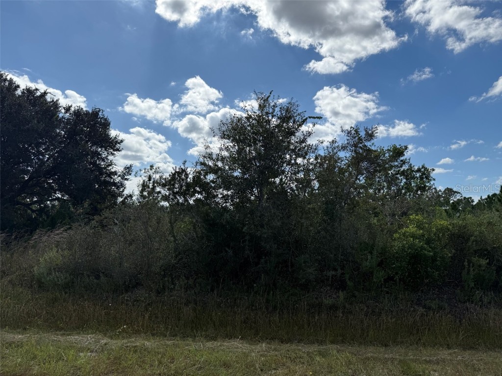 15883 NW 276th Street Okeechobee FL 34972 OK223105 image11
