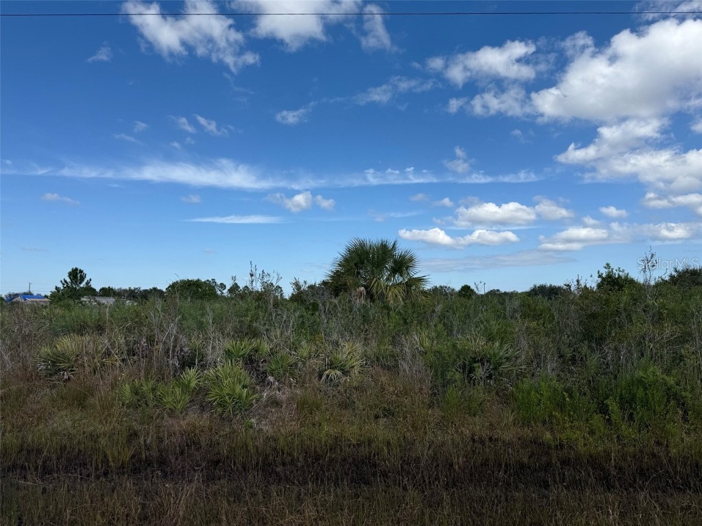 15883 NW 276th Street Okeechobee FL 34972 OK223105 image14