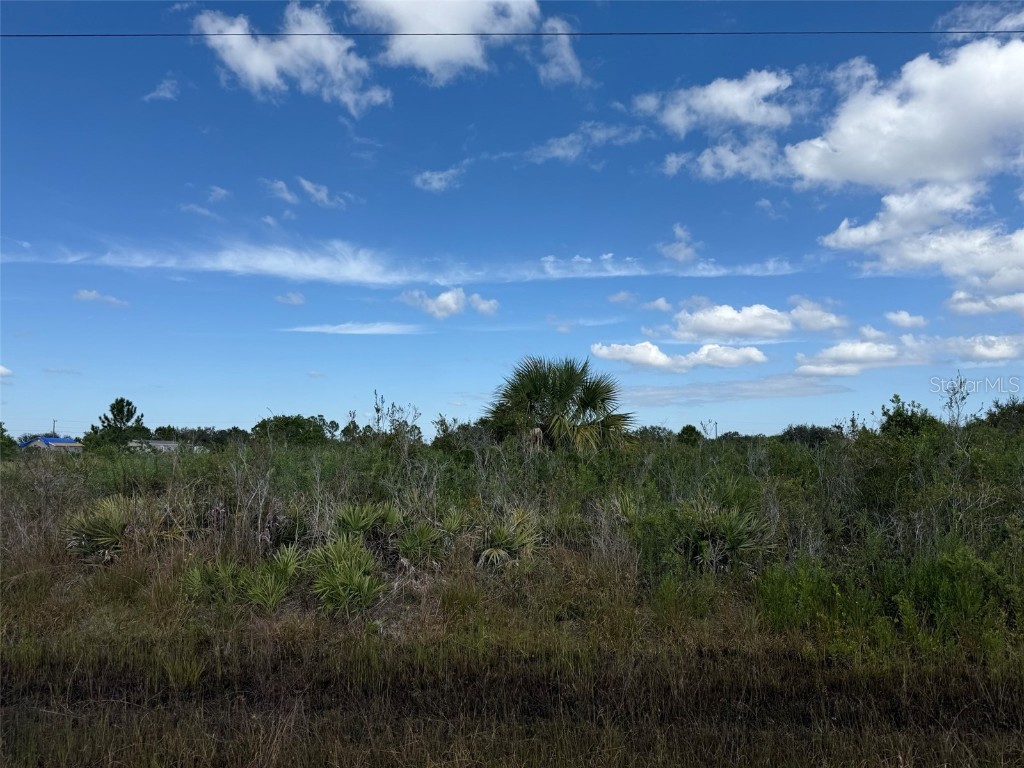15883 NW 276th Street Okeechobee FL 34972 OK223105 image15