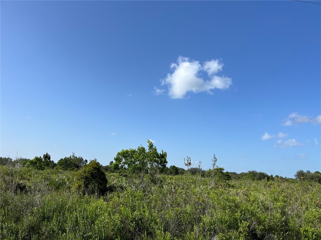 15883 NW 276th Street Okeechobee FL 34972 OK223105 image3