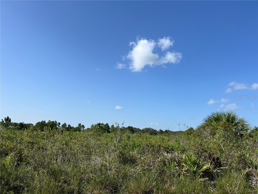 15883 NW 276th Street Okeechobee FL 34972 OK223105 image4