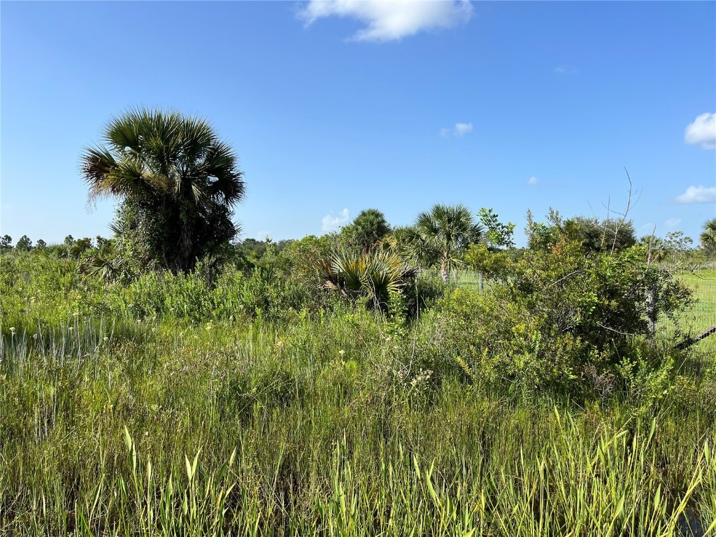 15883 NW 276th Street Okeechobee FL 34972 OK223105 image7