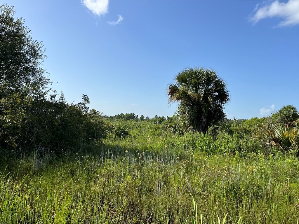 15883 NW 276th Street Okeechobee FL 34972 OK223105 image8