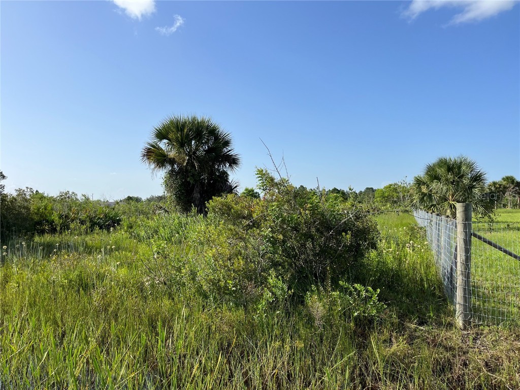 15883 NW 276th Street Okeechobee FL 34972 OK223105 image9