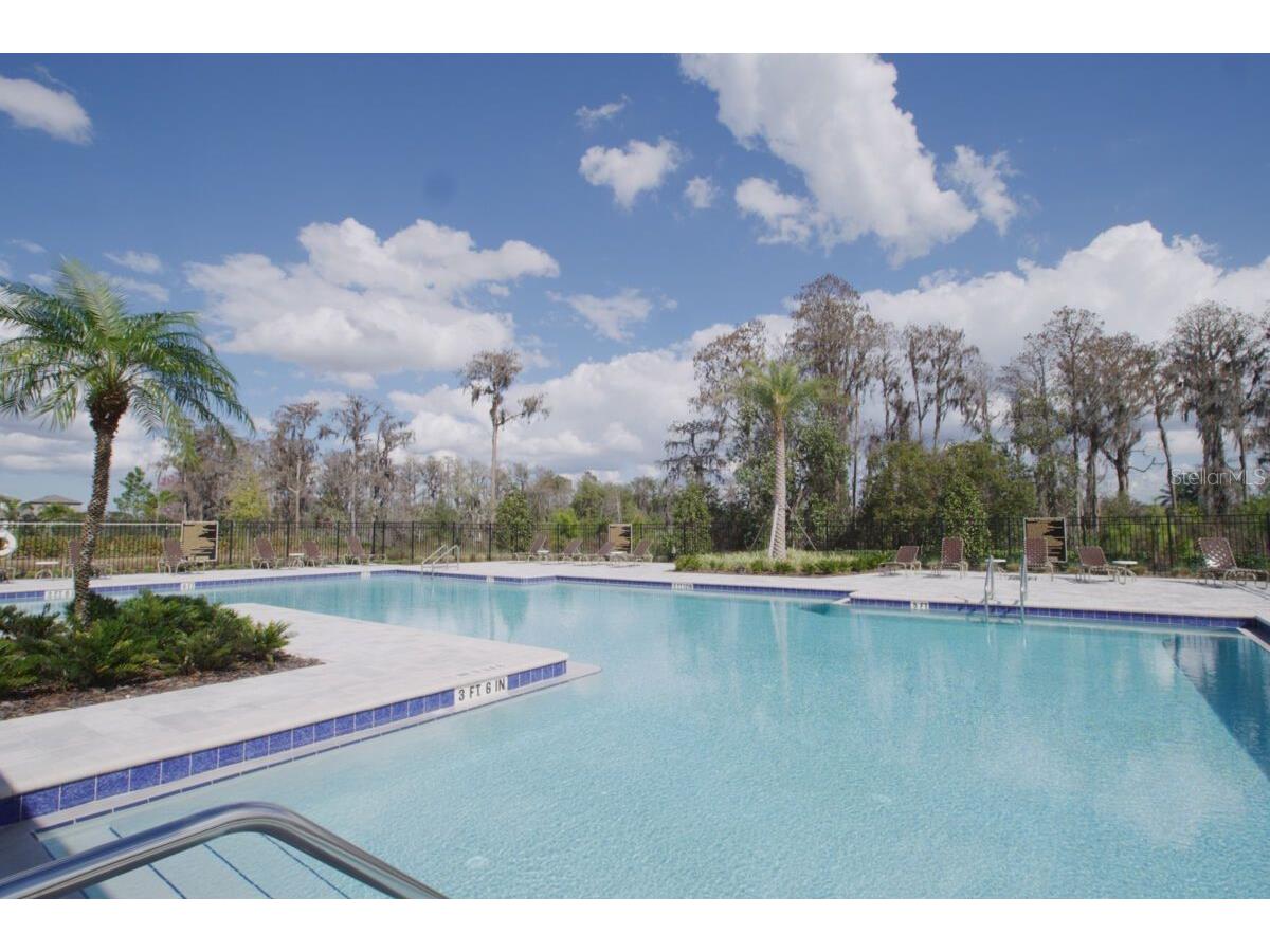15883 Tollington Alley Winter Garden FL 34787 O6401288 image24