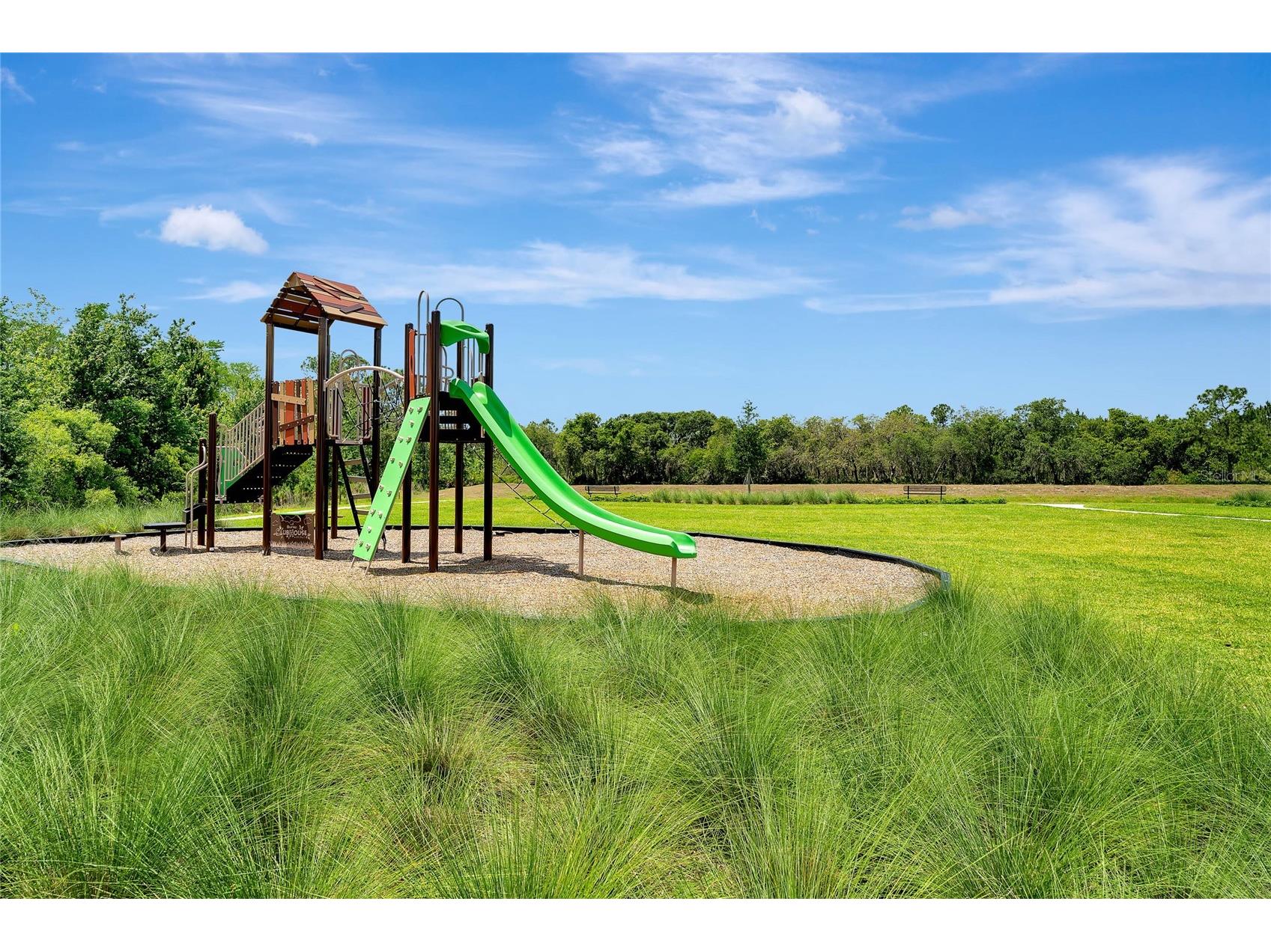 15883 Tollington Alley Winter Garden FL 34787 O6416421 image39