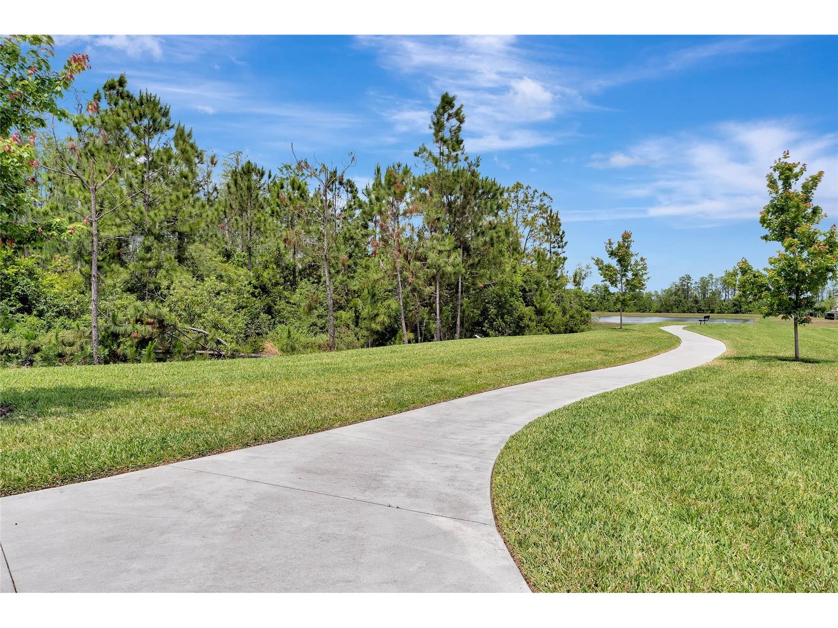 15883 Tollington Alley Winter Garden FL 34787 O6416421 image42