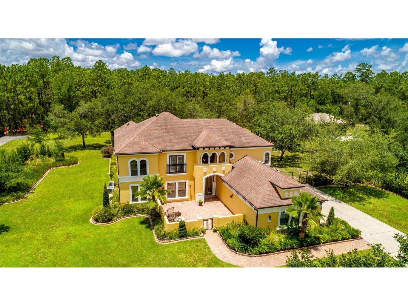 15884 Sago Drive Brooksville FL 34604 W7855587 image1