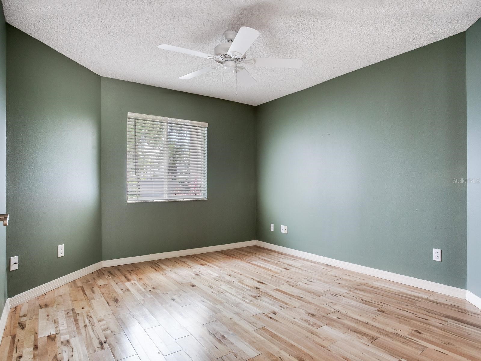 15884 Sanctuary Drive Tampa FL 33647 TB8512488 image16