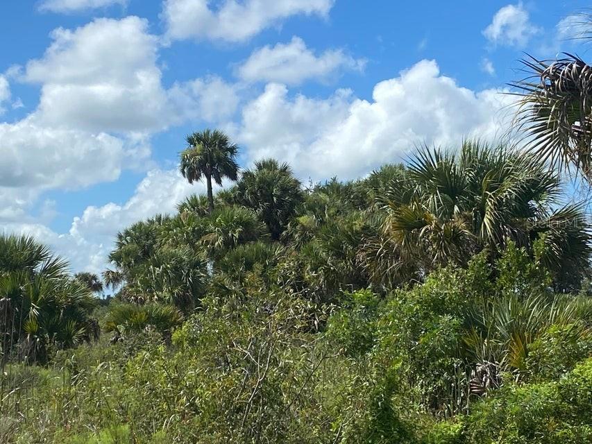 15886 NW 260th Street Okeechobee FL 34972 OK222795 image1