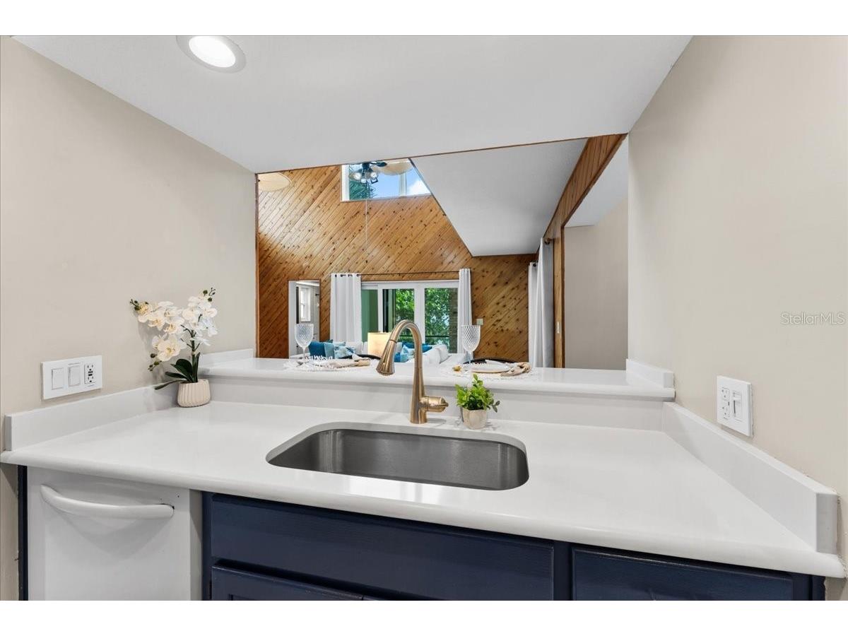 1589 Mary Lane Tarpon Springs FL 34689 - SALT LAKE TB8516504 image21
