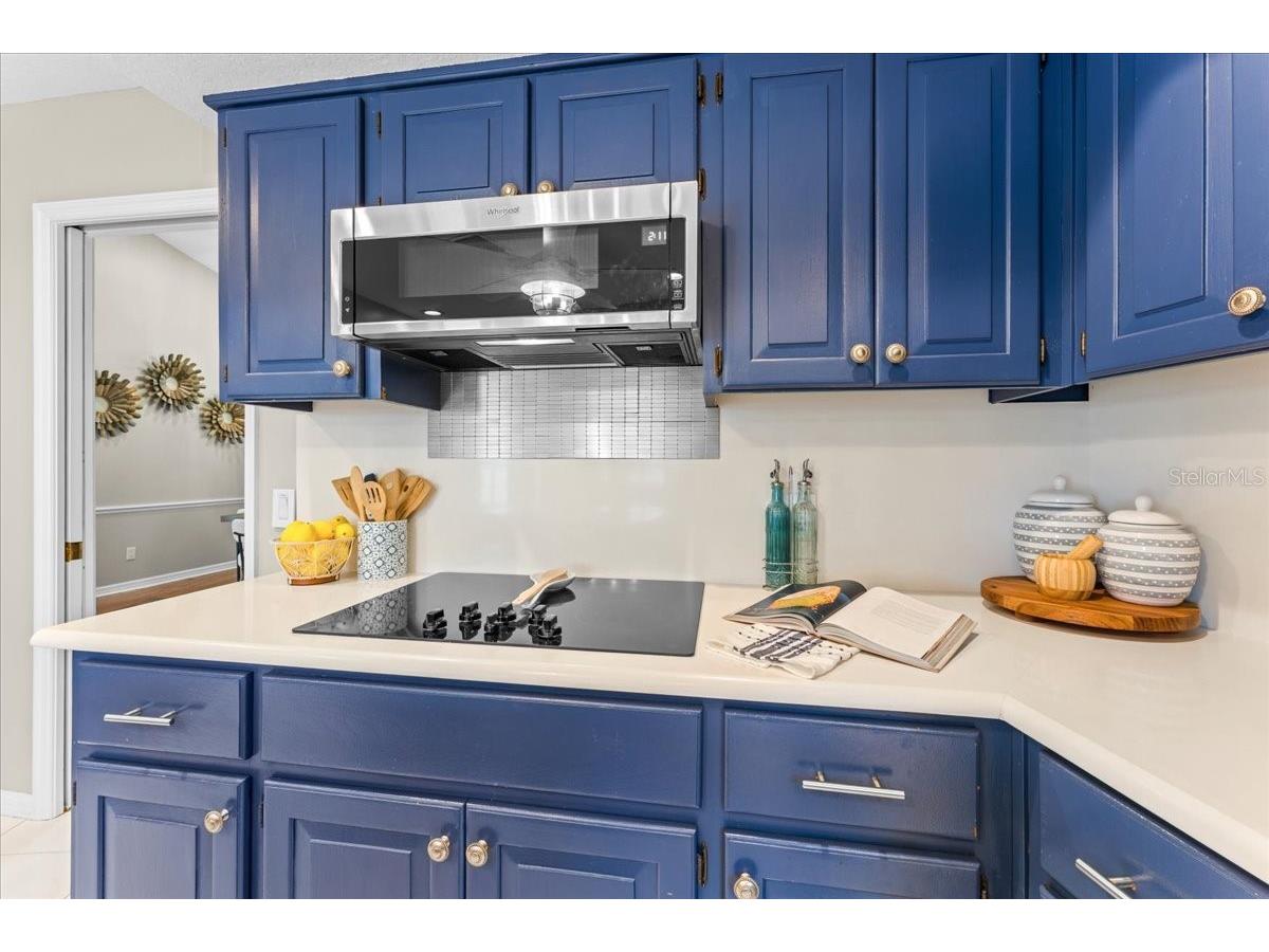 1589 Mary Lane Tarpon Springs FL 34689 - SALT LAKE TB8516504 image22