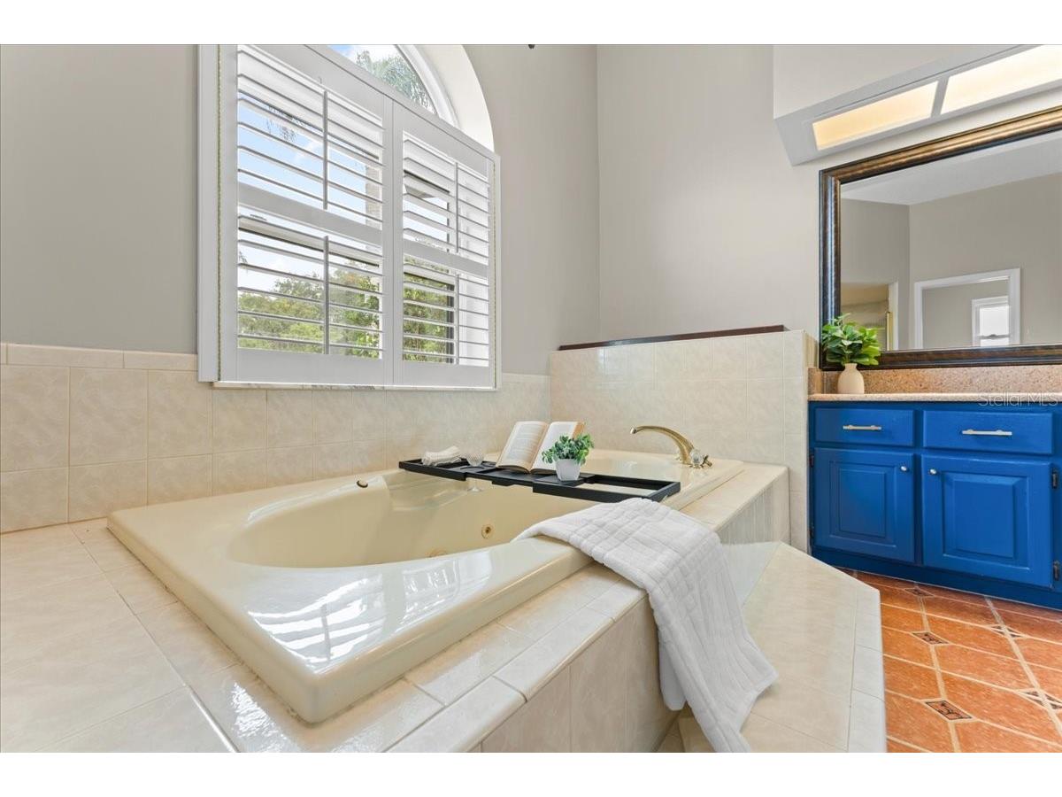 1589 Mary Lane Tarpon Springs FL 34689 - SALT LAKE TB8516504 image47