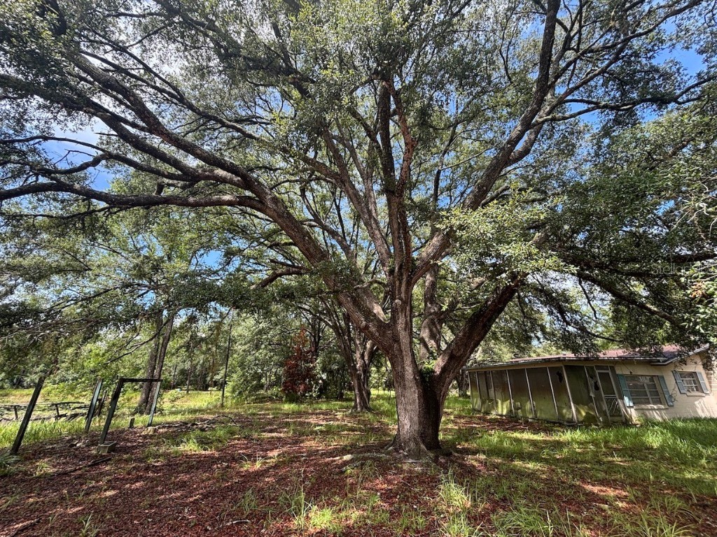 15899 NE 132nd Court Fort Mc Coy FL 32134 TB8407858 image2