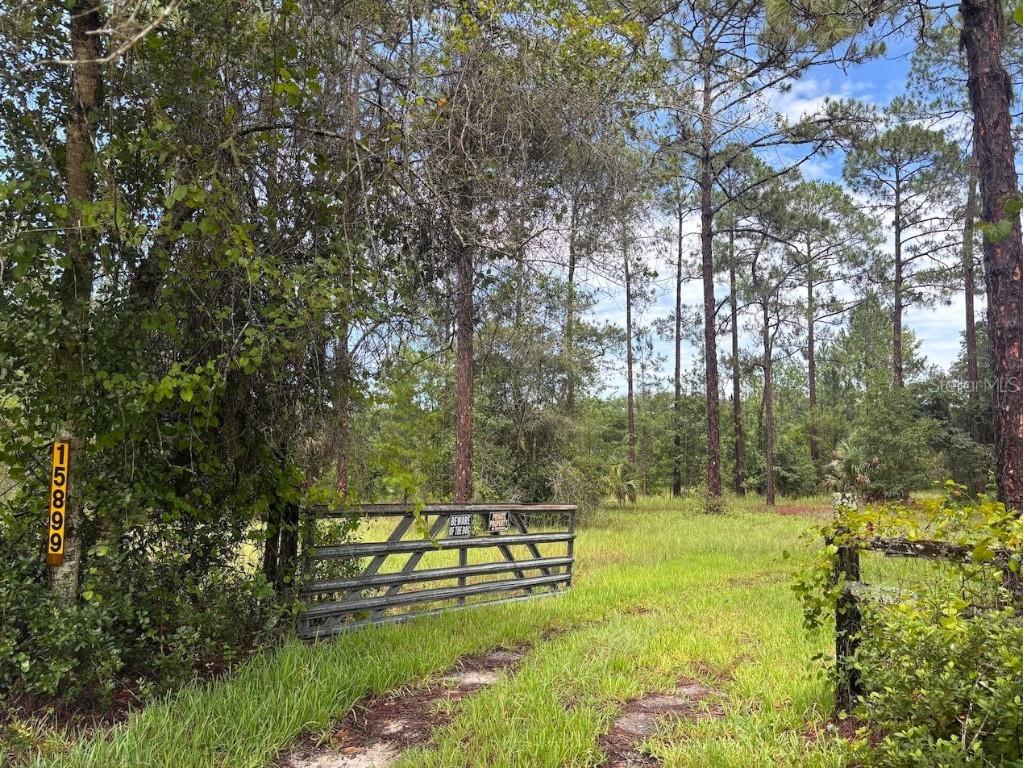 15899 NE 132nd Court Fort Mc Coy FL 32134 TB8407858 image26