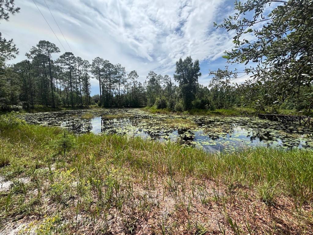 15899 NE 132nd Court Fort Mc Coy FL 32134 TB8407858 image28