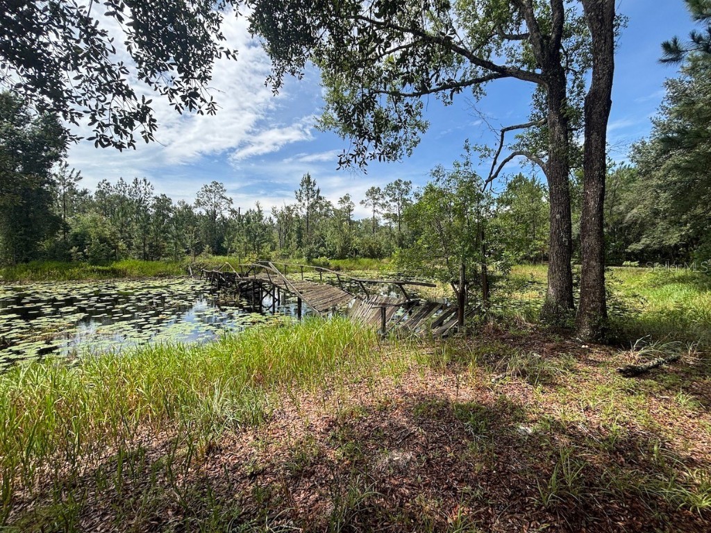 15899 NE 132nd Court Fort Mc Coy FL 32134 TB8407858 image29