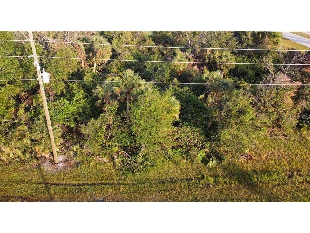 159 Antilla Drive Rotonda West FL 33947 T3445956 image1