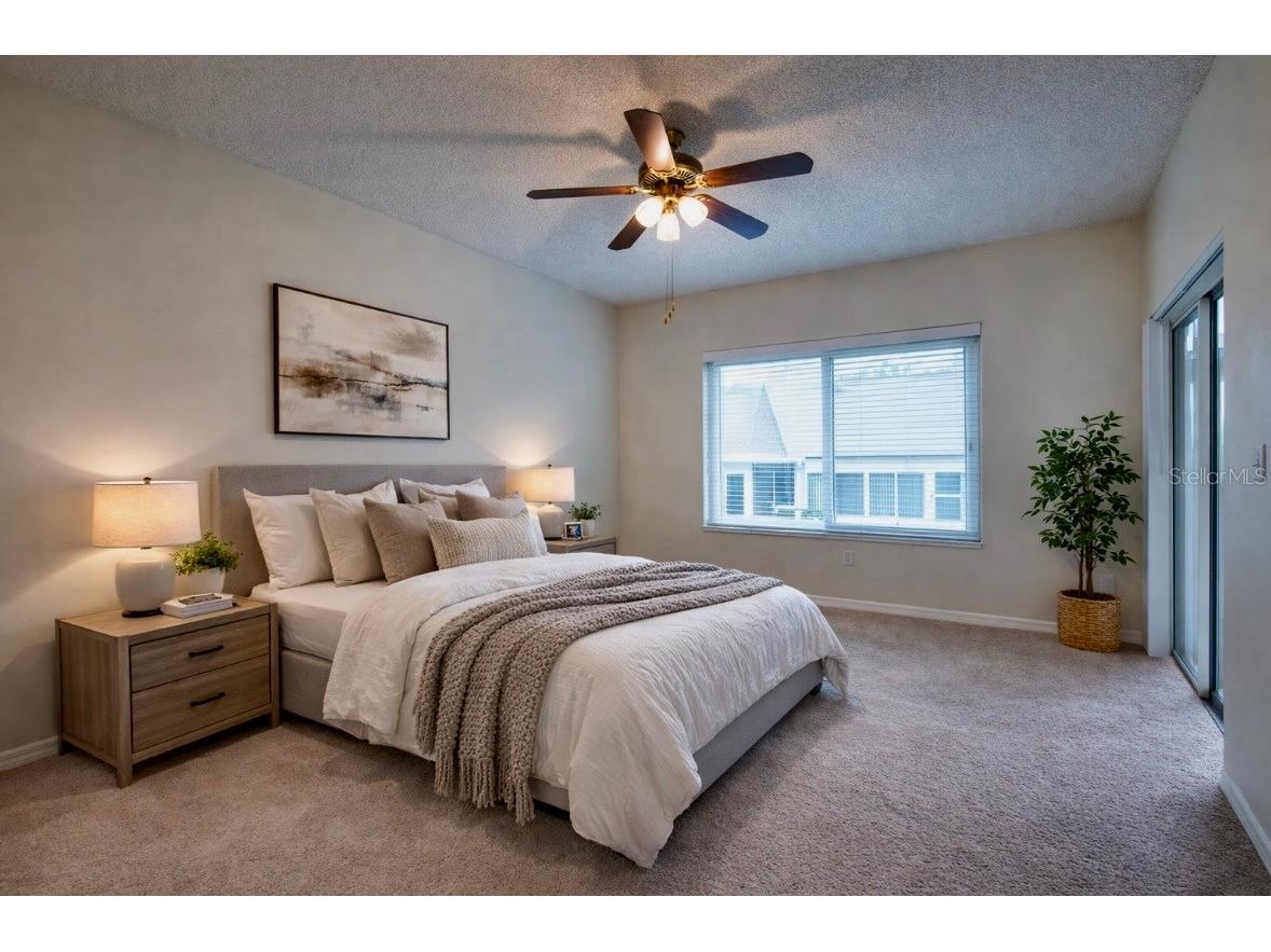 159 Hunter Court #N/A Palm Harbor FL 34684 TB8484112 image21