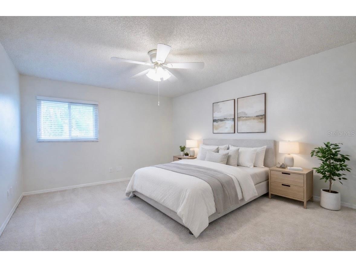 159 Hunter Court #N/A Palm Harbor FL 34684 TB8484112 image29