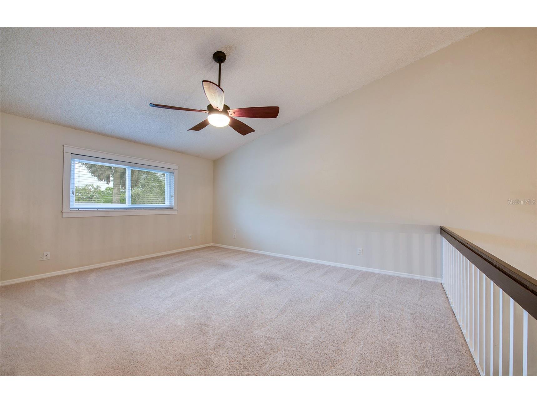 159 Hunter Court #N/A Palm Harbor FL 34684 TB8484112 image36