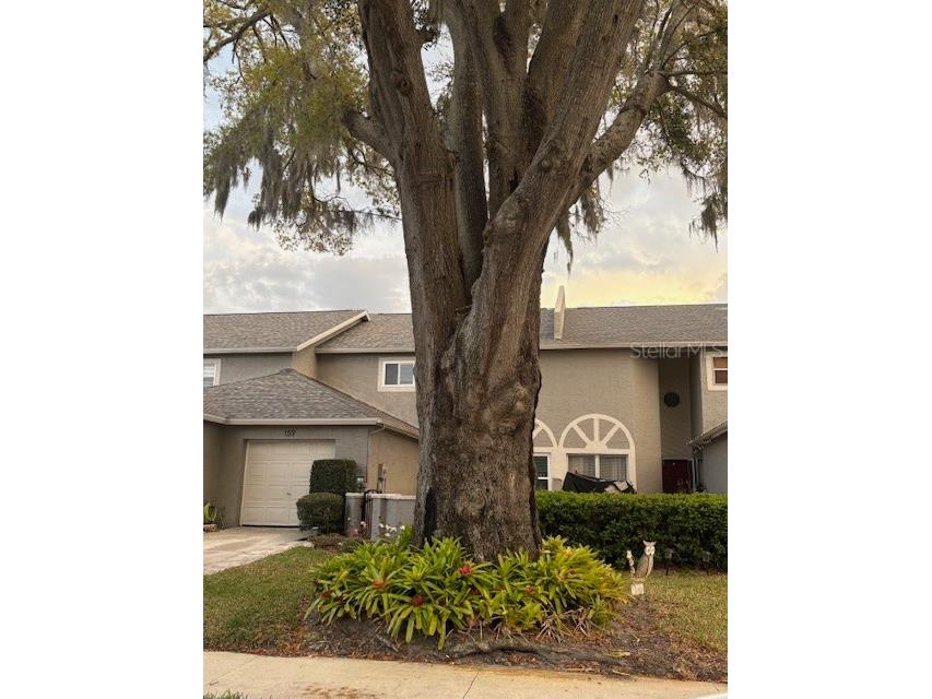 159 Hunter Court #N/A Palm Harbor FL 34684 TB8484112 image47