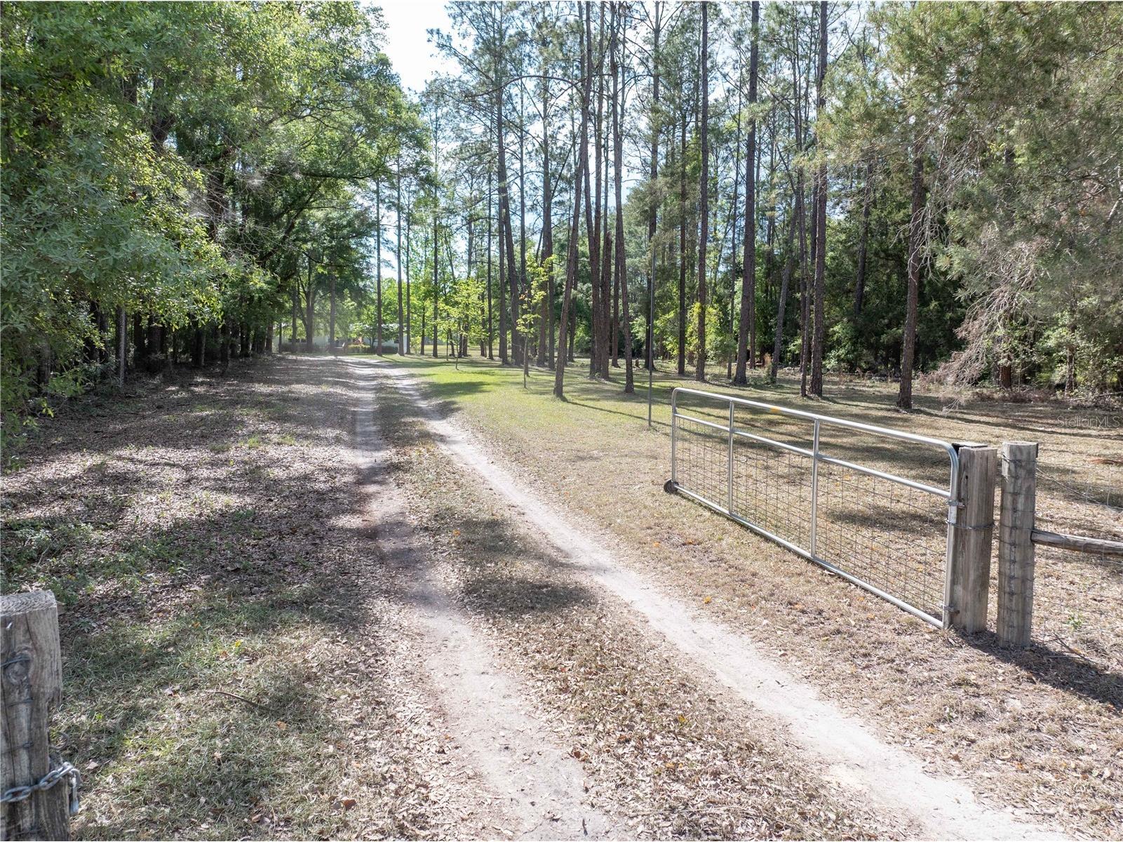 159 SW 70th Avenue Bell FL 32619 GC539798 image28