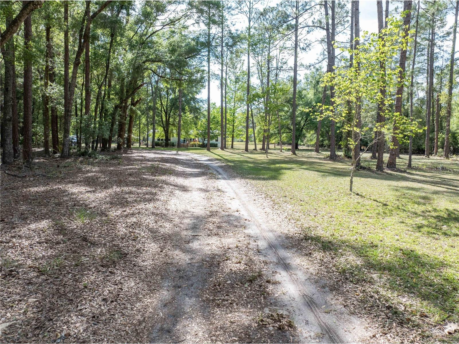 159 SW 70th Avenue Bell FL 32619 GC539798 image29