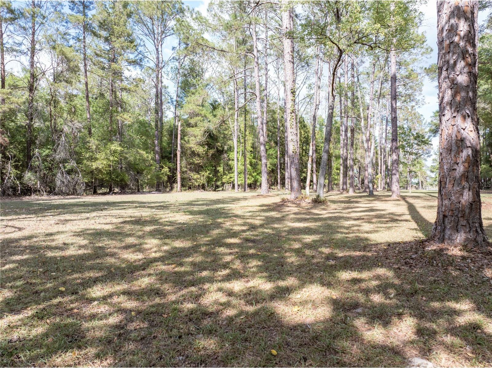 159 SW 70th Avenue Bell FL 32619 GC539798 image30