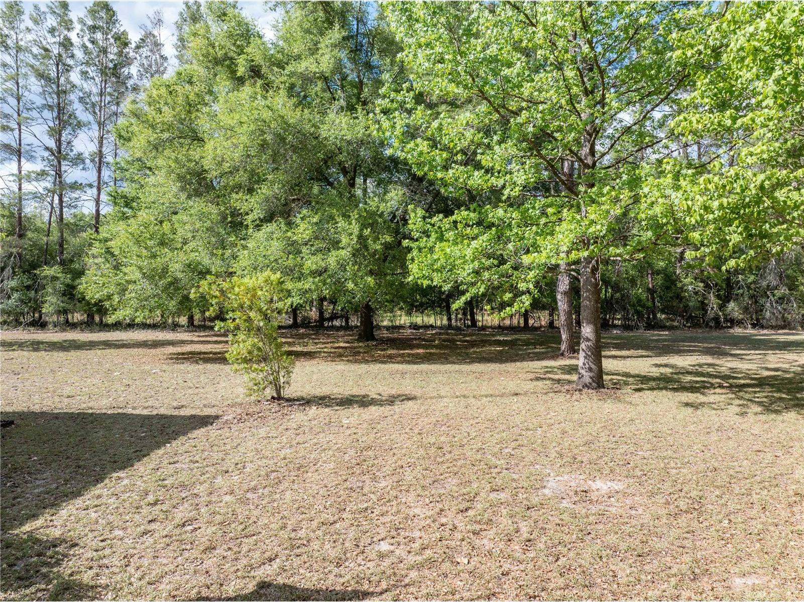 159 SW 70th Avenue Bell FL 32619 GC539798 image31