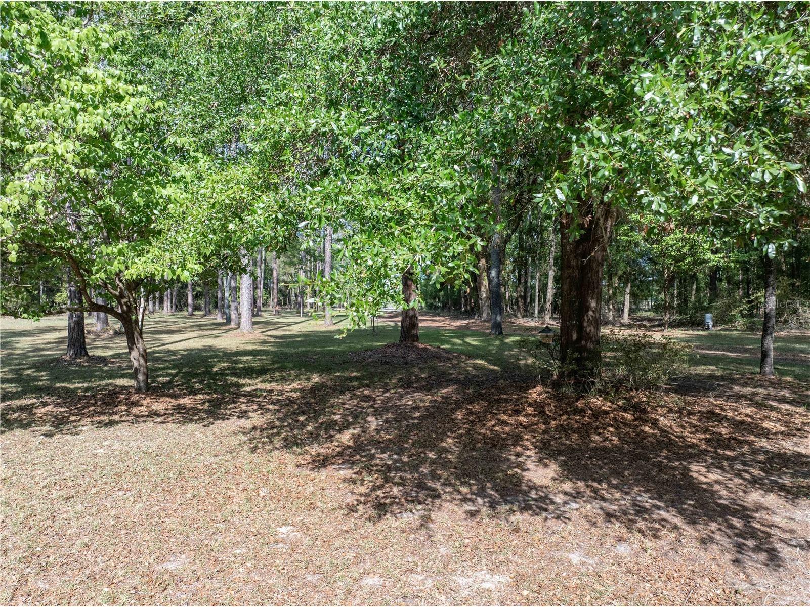 159 SW 70th Avenue Bell FL 32619 GC539798 image32