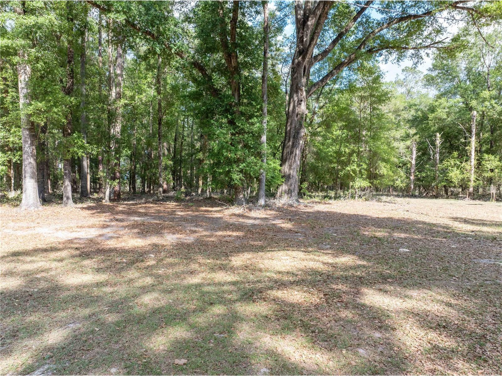 159 SW 70th Avenue Bell FL 32619 GC539798 image33