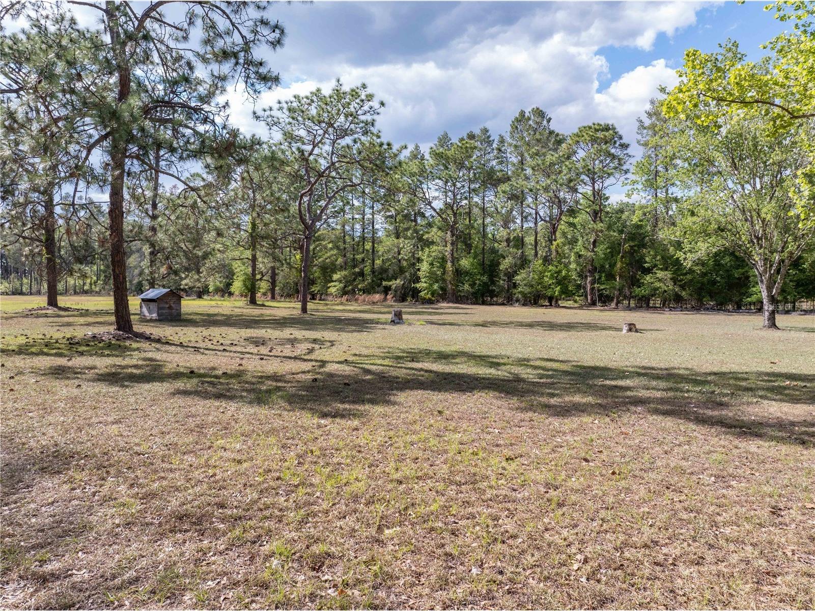 159 SW 70th Avenue Bell FL 32619 GC539798 image34