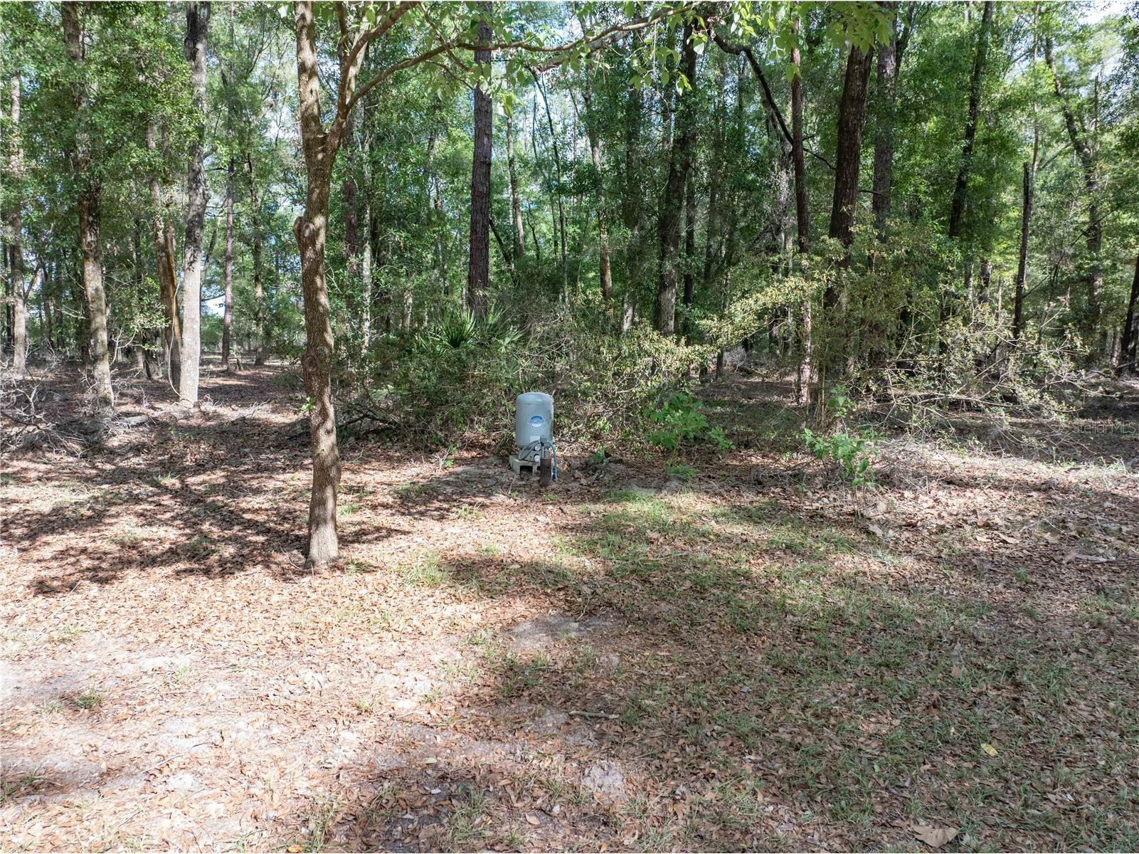 159 SW 70th Avenue Bell FL 32619 GC539798 image37
