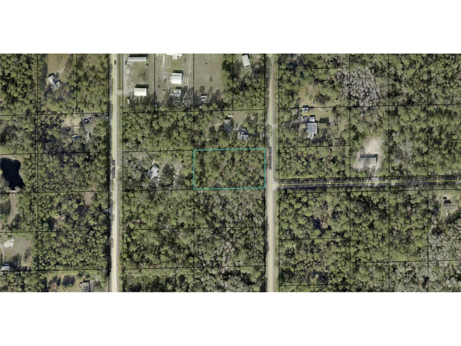 1590 Avocado Boulevard Bunnell FL 32110 O6309013 image1