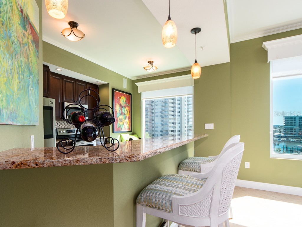 1590 Gulf Boulevard #501 Clearwater Beach FL 33767 TB8350682 image33