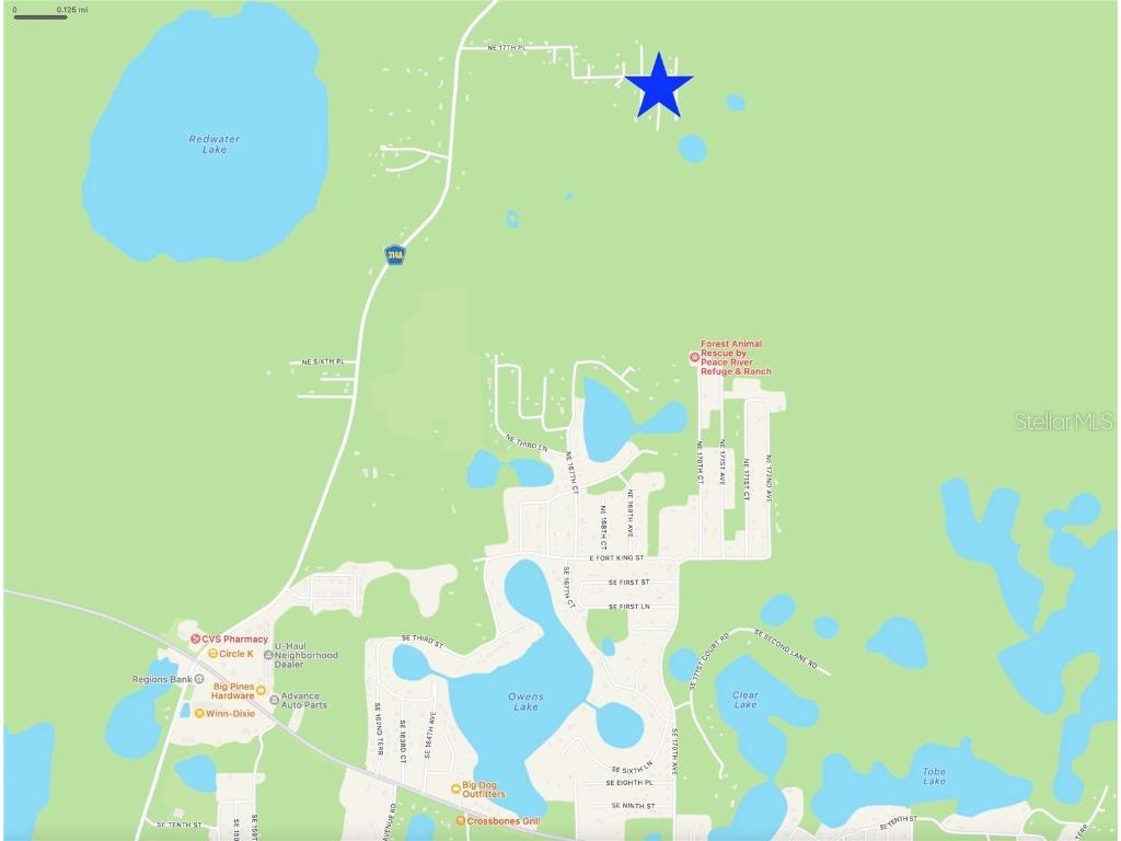 1590 NE 169th Terrace Silver Springs FL 34488 OM676487 image1