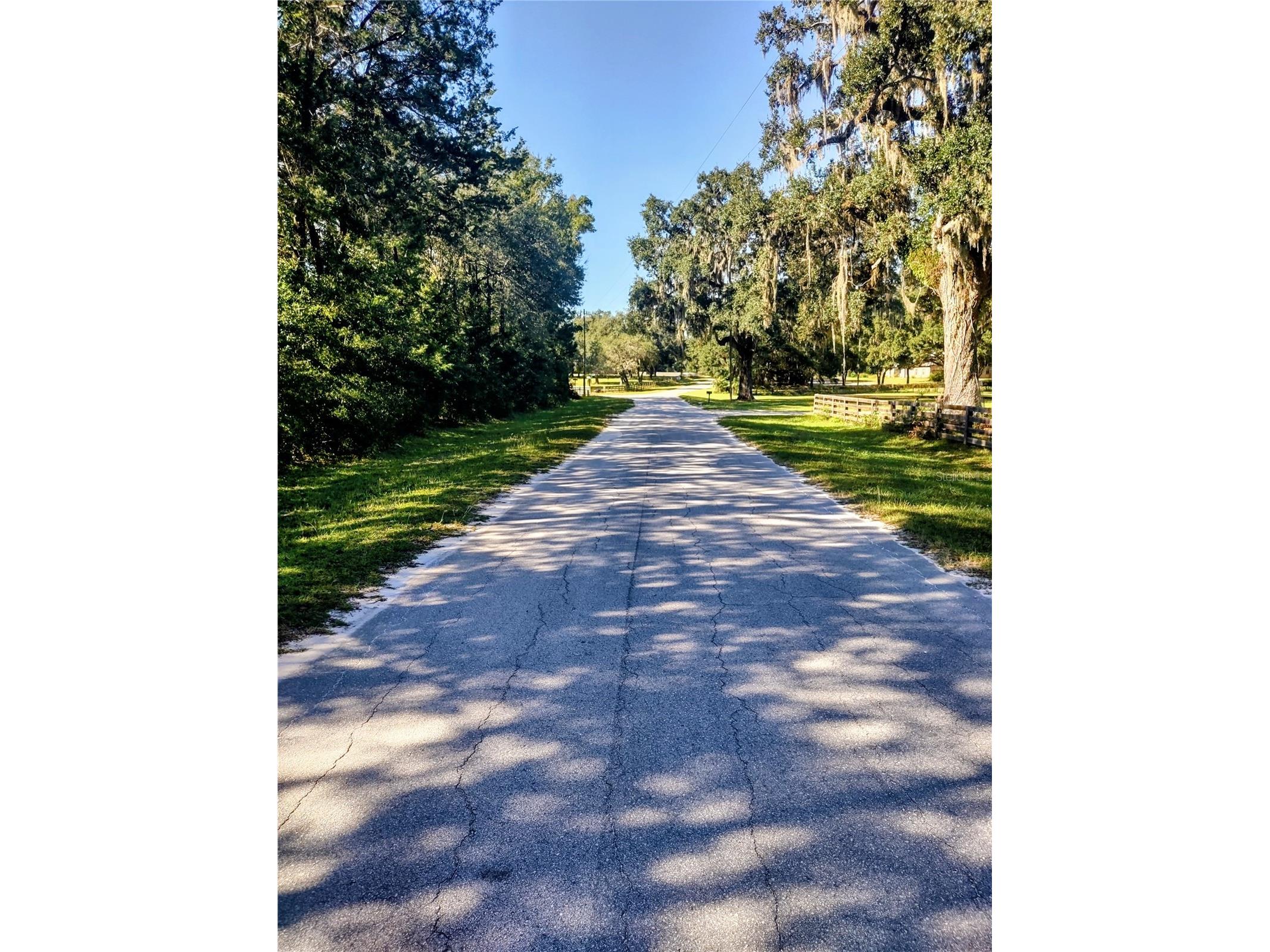 1590 SE 182nd Terrace Williston FL 32696 OM712377 image1