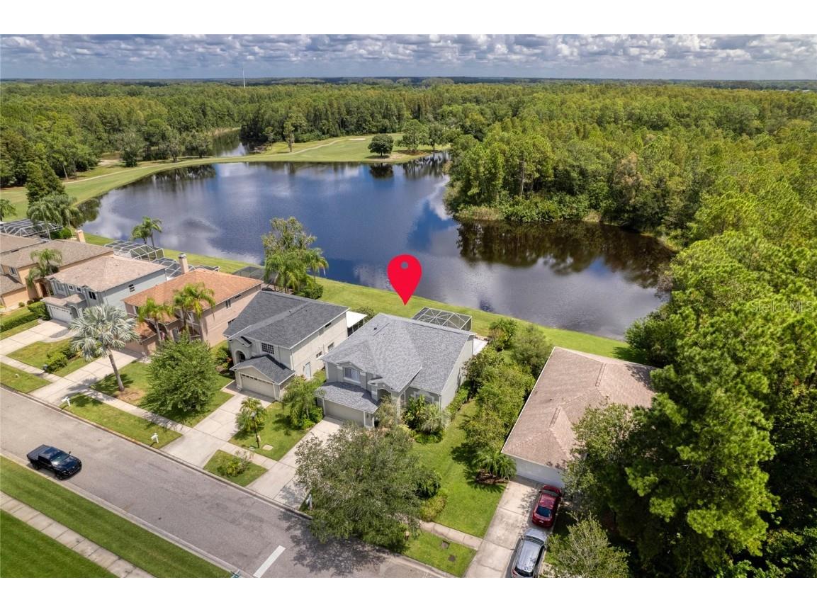 15901 King James Court Odessa FL 33556 U8252464 image1