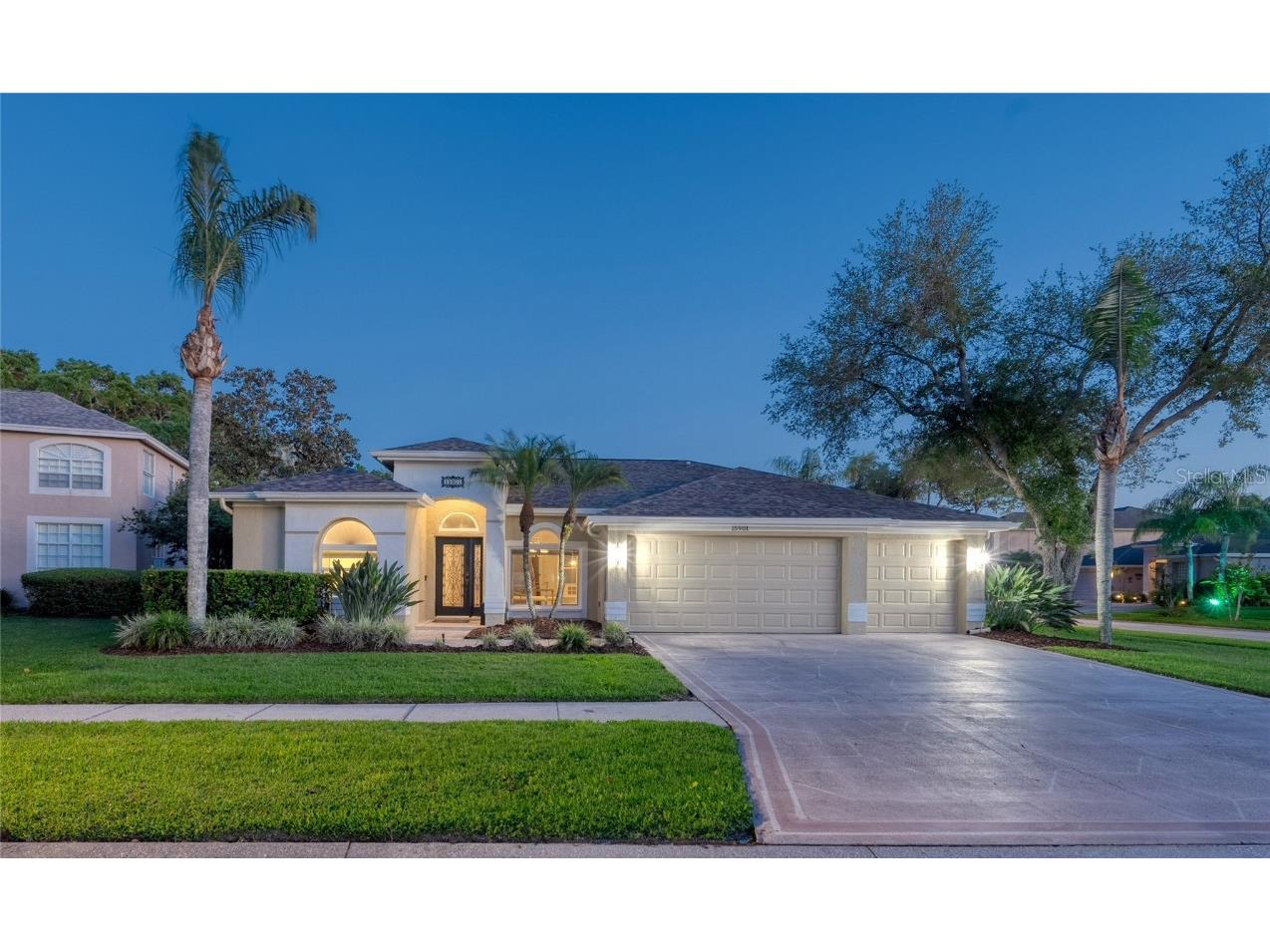 15901 Lahinch Circle Odessa FL 33556 U8236487 image1