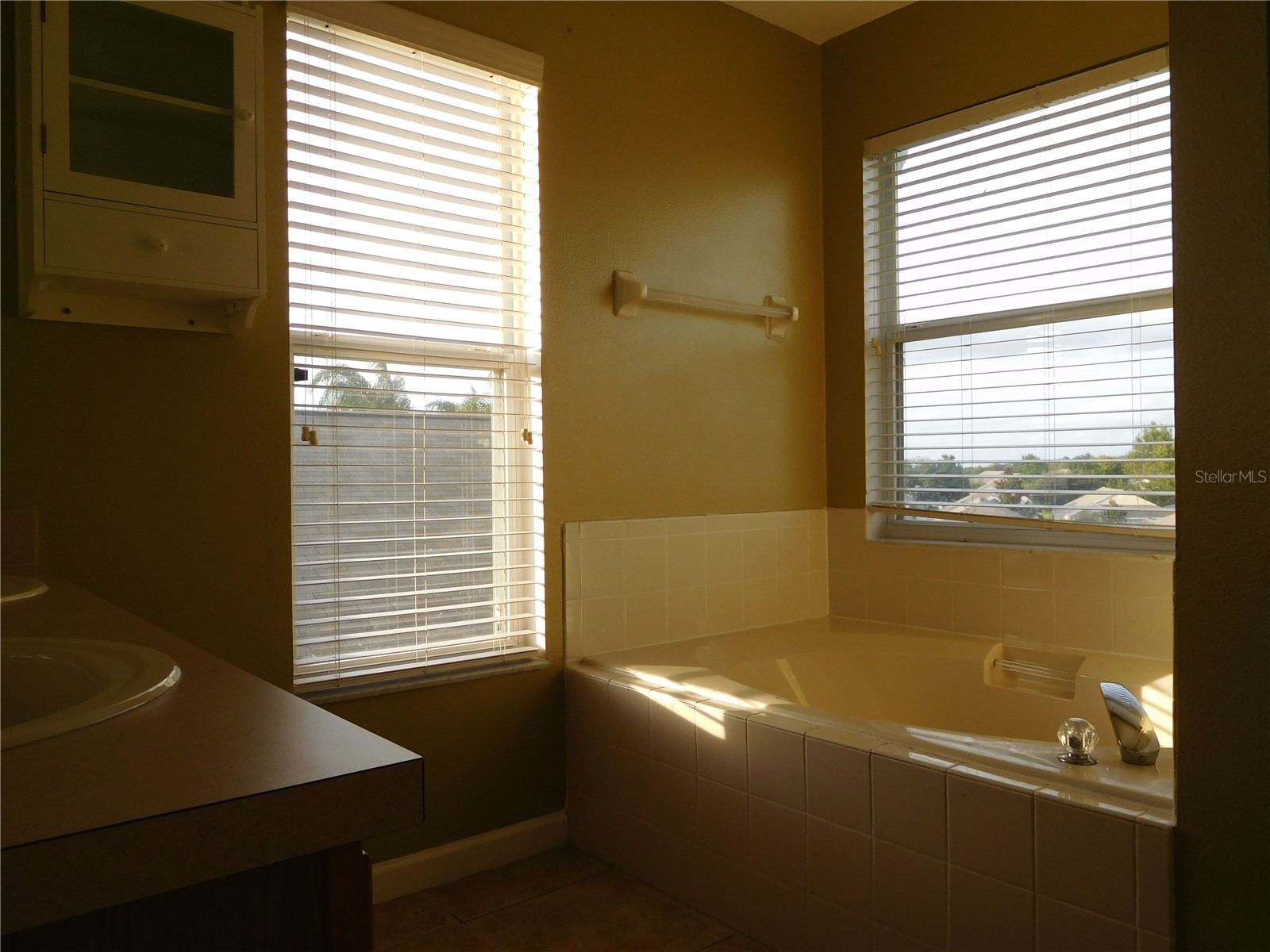 15903 Bay Vista Drive Clermont FL 34714 O6388681 image10