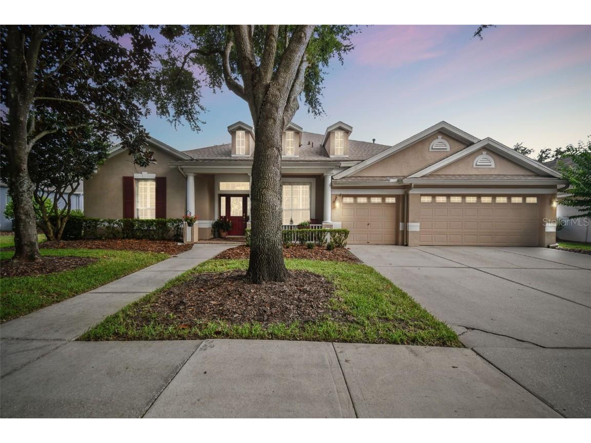 15903 Sorawater Drive Lithia FL 33547 T3536189 image1