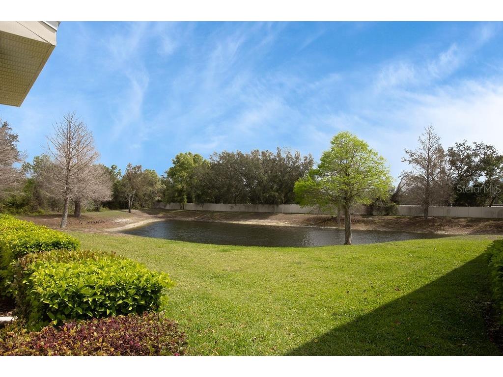 15904 Stable Run Drive Spring Hill FL 34610 W7883991 image42