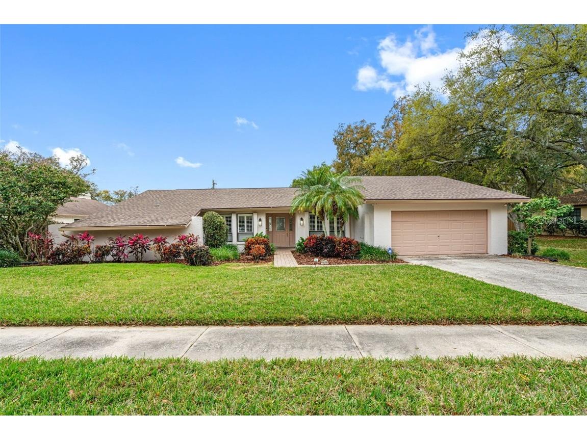 15905 Dover Cliffe Drive Lutz FL 33548 T3504037 image1