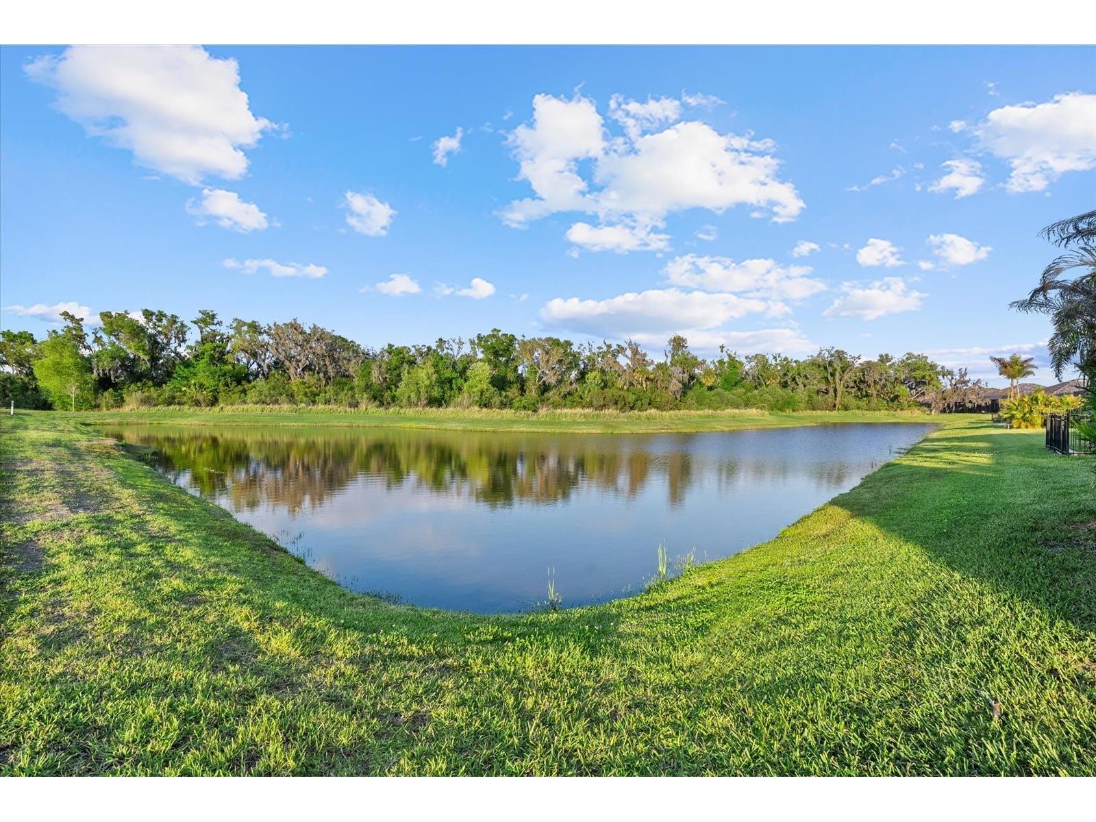 15906 39th Glen E Parrish FL 34219 TB8465270 image49