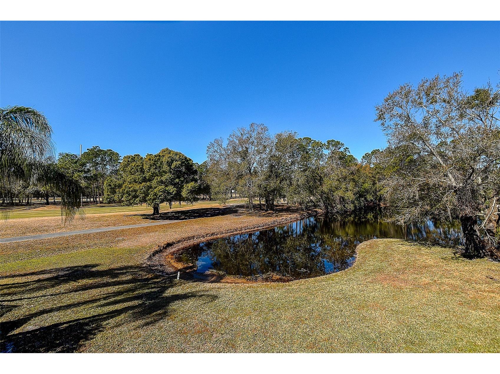 15906 Prince William Place Odessa FL 33556 TB8473775 image44