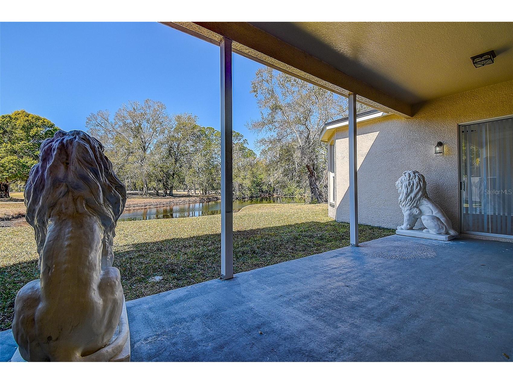 15906 Prince William Place Odessa FL 33556 TB8473775 image60