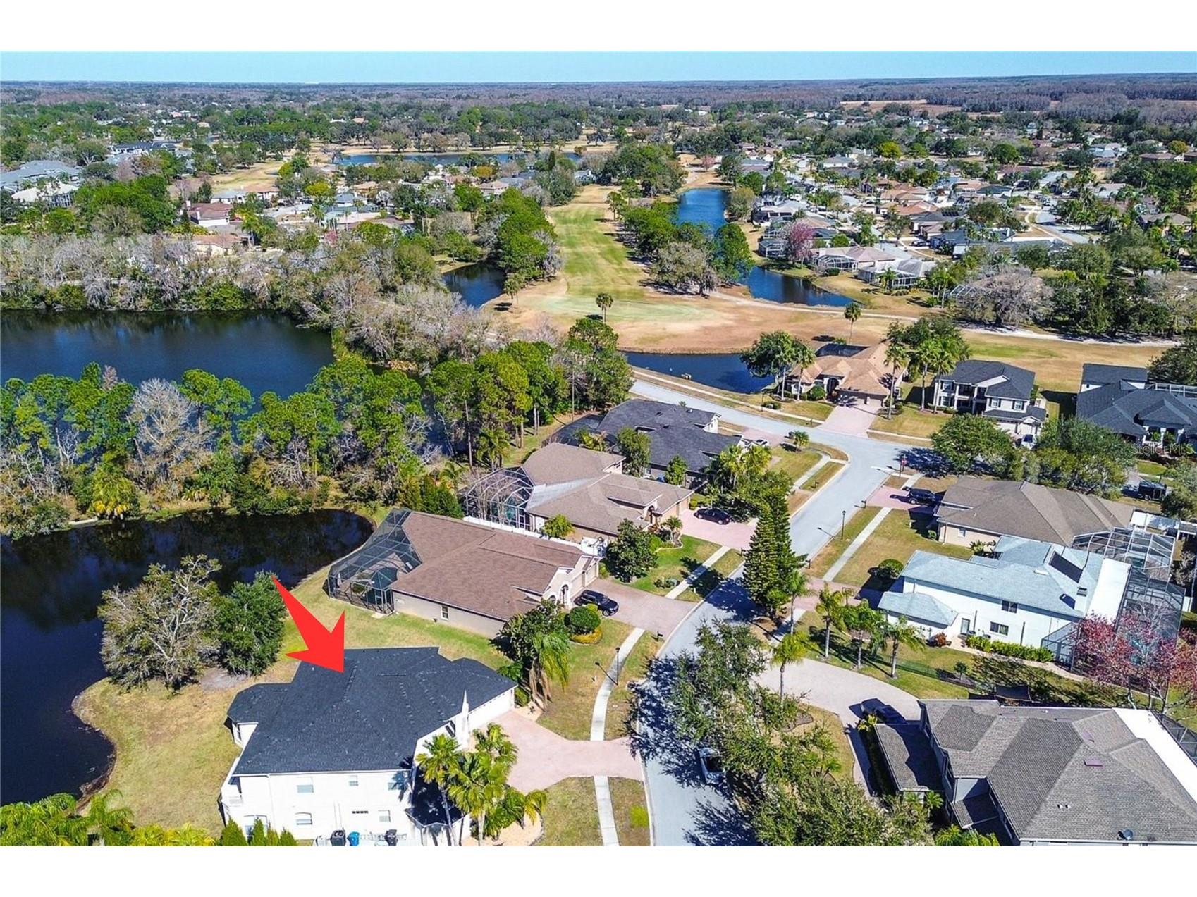 15906 Prince William Place Odessa FL 33556 TB8473775 image67